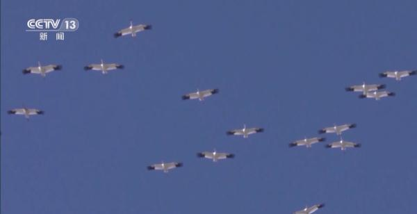 ����ku�ι���,����Ұ������׷��,��������׷����,����׷����