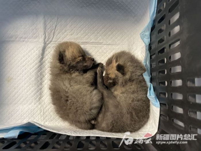 ����ku�ι���,����Ұ������׷��,��������׷����,����׷����