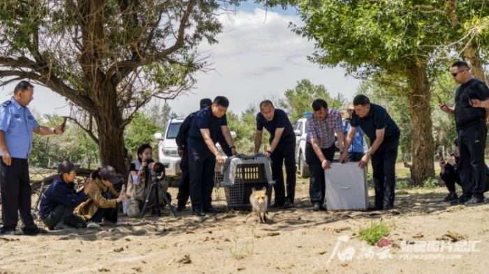 ����ku�ι���,����Ұ������׷��,��������׷����,����׷����