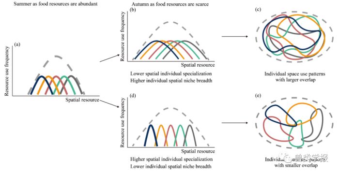 ����ku�ι���,����Ұ������׷��,��������׷����,����׷����
