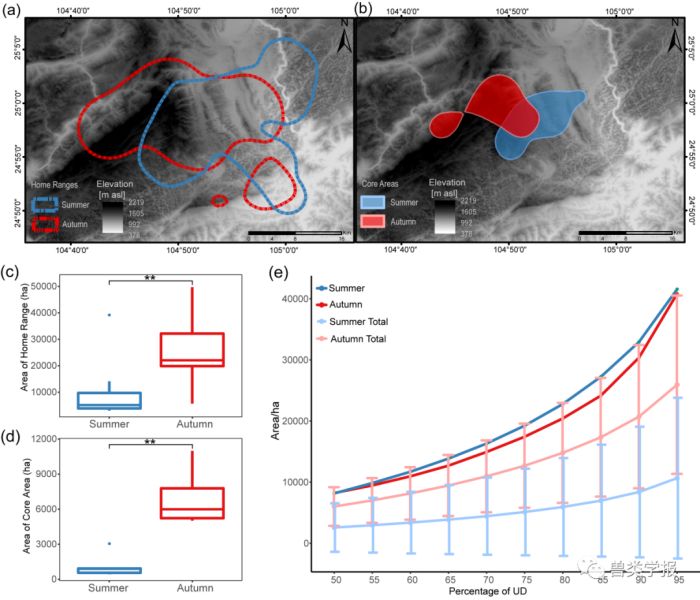 ����ku�ι���,����Ұ������׷��,��������׷����,����׷����