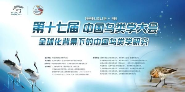 ����ku�ι���,����Ұ������׷��,��������׷����,����׷����