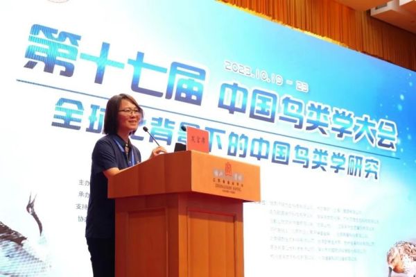 ����ku�ι���,����Ұ������׷��,��������׷����,����׷����