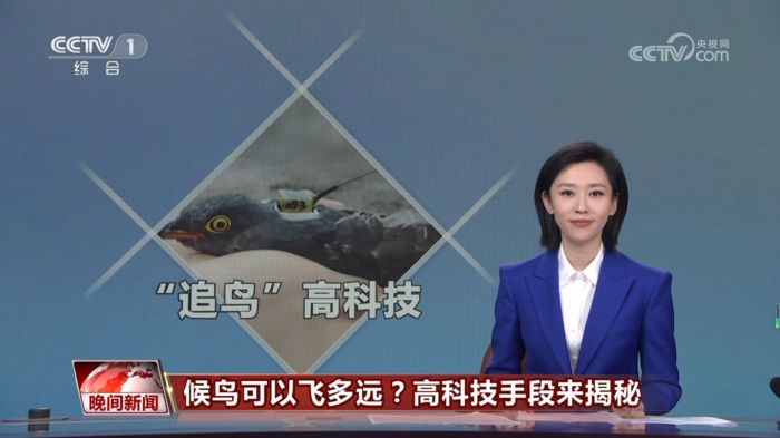 ����ku�ι���,����Ұ������׷��,��������׷����,����׷����