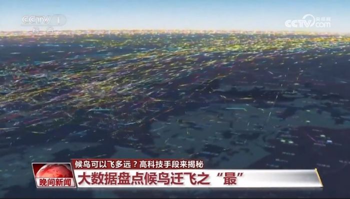 ����ku�ι���,����Ұ������׷��,��������׷����,����׷����