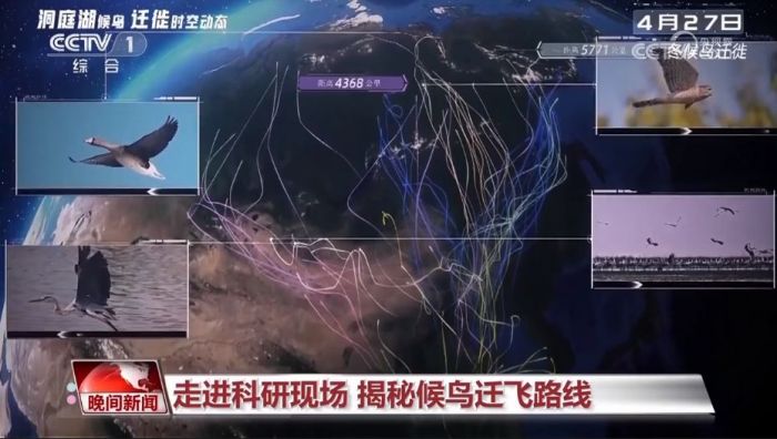 ����ku�ι���,����Ұ������׷��,��������׷����,����׷����