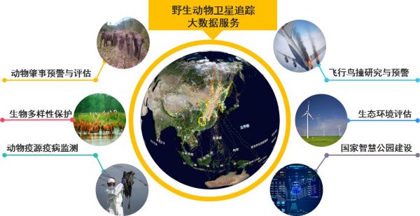 ����ku�ι���,����Ұ������׷��,��������׷����,����׷����