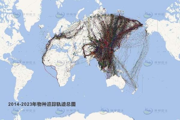 ����ku�ι���,����Ұ������׷��,��������׷����,����׷����