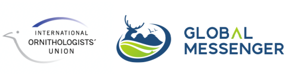 ����ku�ι���,����Ұ������׷��,��������׷����,����׷����