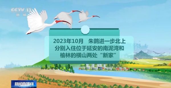 ����ku�ι���,����Ұ������׷��,��������׷����,����׷����