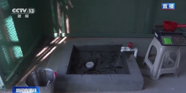 ����ku�ι���,����Ұ������׷��,��������׷����,����׷����