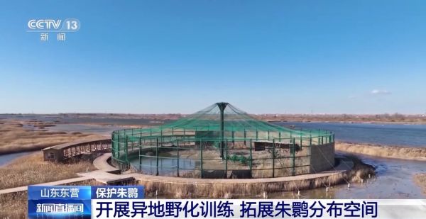 ����ku�ι���,����Ұ������׷��,��������׷����,����׷����