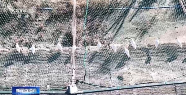 ����ku�ι���,����Ұ������׷��,��������׷����,����׷����