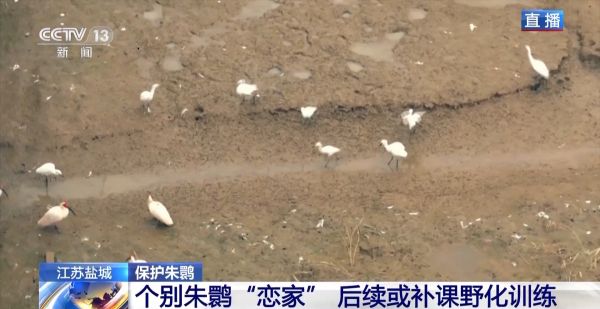 ����ku�ι���,����Ұ������׷��,��������׷����,����׷����