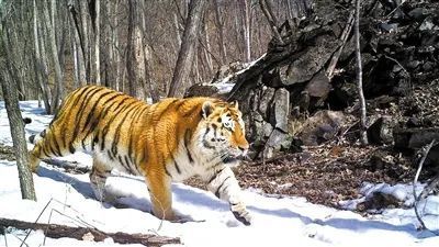 ���ݿ���(���Ρ�ku��)�ٷ���վ