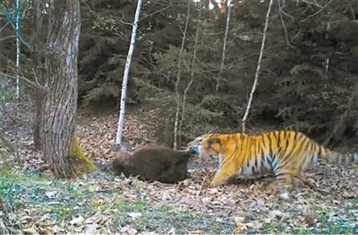 ���ݿ���(���Ρ�ku��)�ٷ���վ