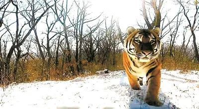 ���ݿ���(���Ρ�ku��)�ٷ���վ