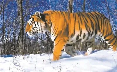 ���ݿ���(���Ρ�ku��)�ٷ���վ