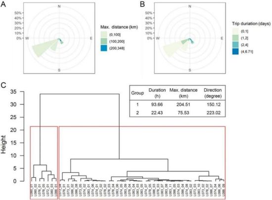 ����ku�ι���,����Ұ������׷��,��������׷����,����׷����