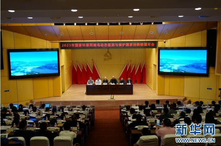 ����ku�ι���,����Ұ������׷��,��������׷����,����׷����