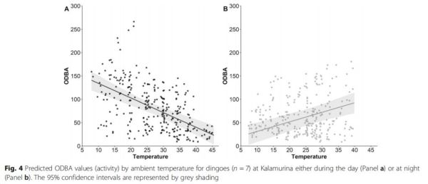 ����ku�ι���,����Ұ������׷��,��������׷����,����׷����