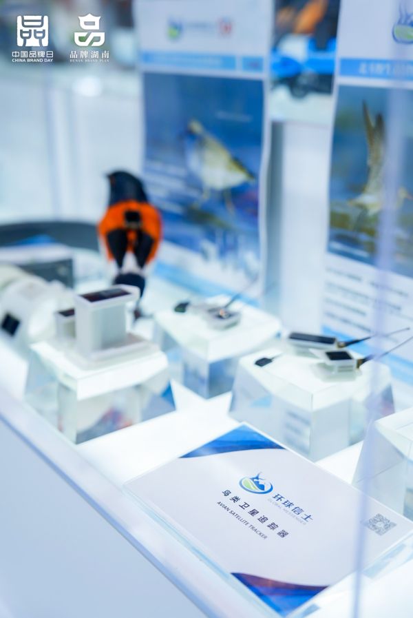 ����ku�ι���,����Ұ������׷��,��������׷����,����׷����