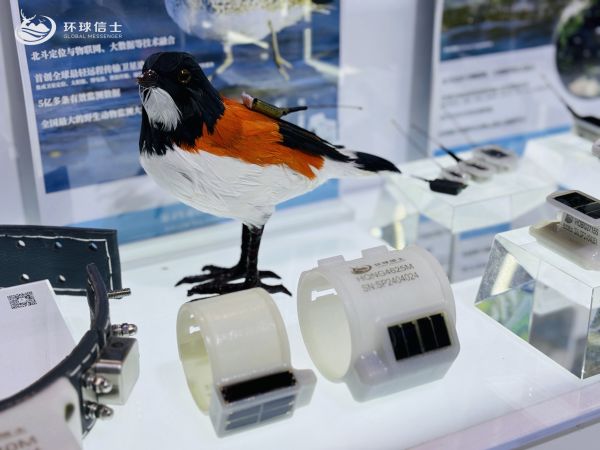 ����ku�ι���,����Ұ������׷��,��������׷����,����׷����