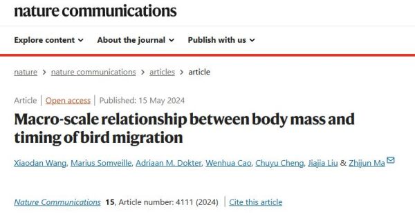 ����ku�ι���,����Ұ������׷��,��������׷����,����׷����