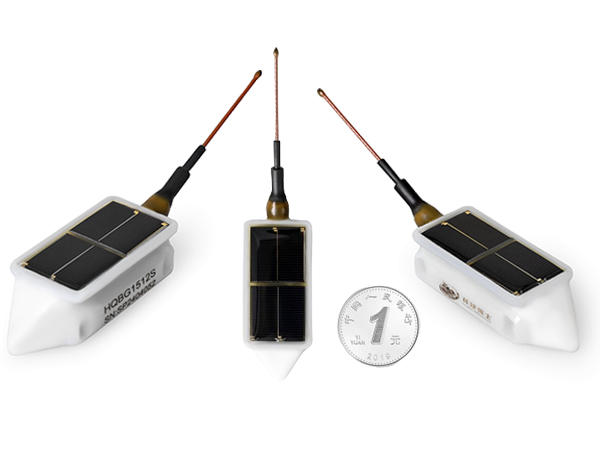 ����ku�ι���,����Ұ������׷��,��������׷����,����׷����