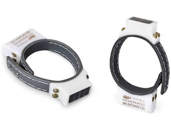 ����ku�ι���,����Ұ������׷��,��������׷����,����׷����