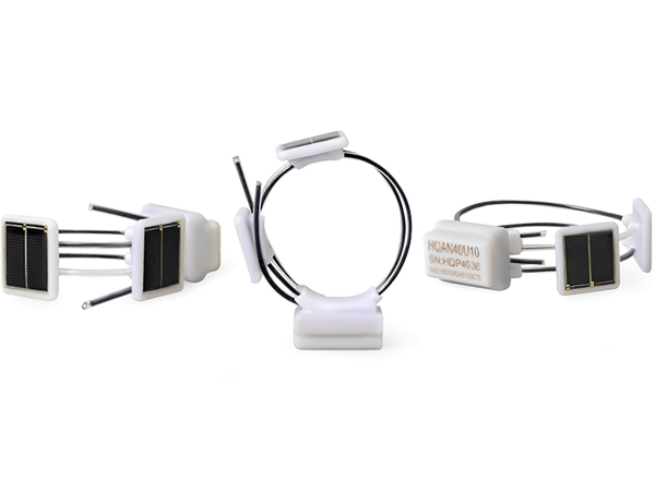 ����ku�ι���,����Ұ������׷��,��������׷����,����׷����