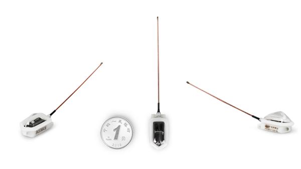 ����ku�ι���,����Ұ������׷��,��������׷����,����׷����