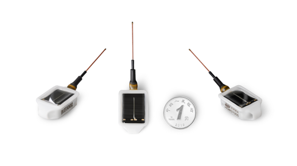 ����ku�ι���,����Ұ������׷��,��������׷����,����׷����