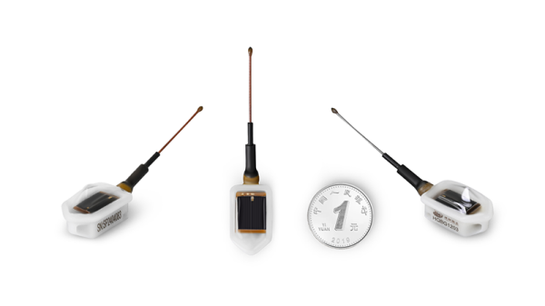 ����ku�ι���,����Ұ������׷��,��������׷����,����׷����