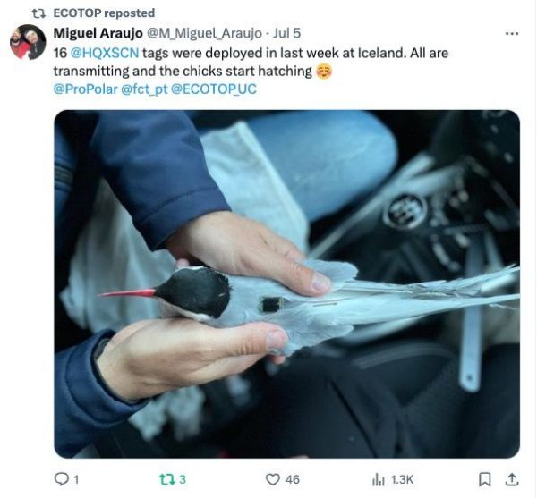 ����ku�ι���,����Ұ������׷��,��������׷����,����׷����