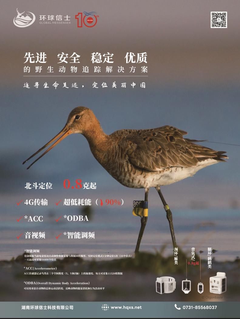 ����ku�ι���,����Ұ������׷��,��������׷����,����׷����