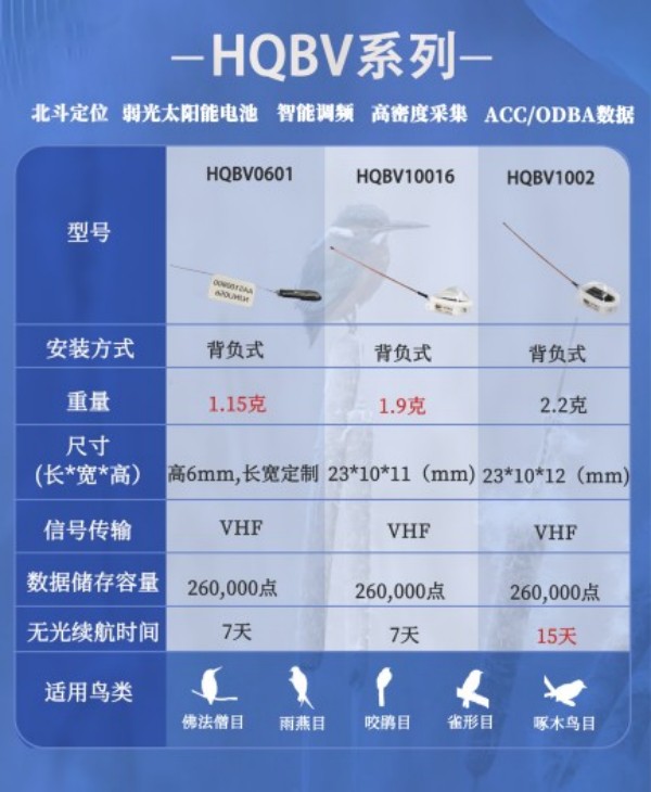 ����ku�ι���,����Ұ������׷��,��������׷����,����׷����