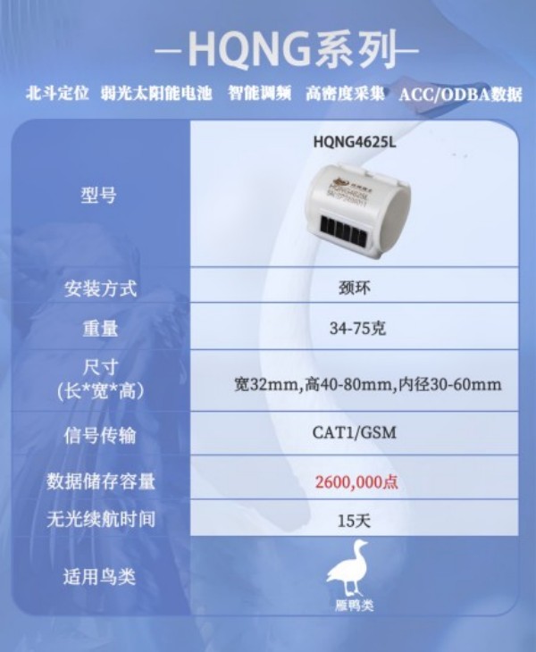 ����ku�ι���,����Ұ������׷��,��������׷����,����׷����