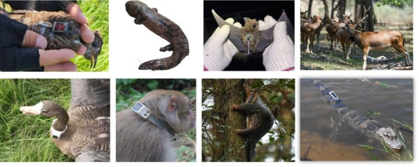 ����ku�ι���,����Ұ������׷��,��������׷����,����׷����