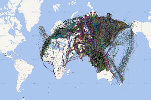 ����ku�ι���,����Ұ������׷��,��������׷����,����׷����