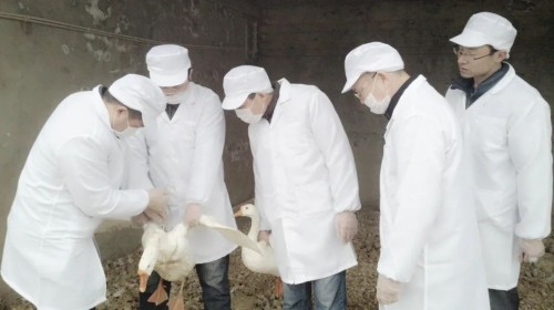 ����ku�ι���,����Ұ������׷��,��������׷����,����׷����