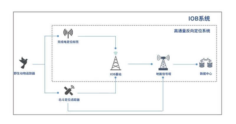 ����ku�ι���,����Ұ������׷��,��������׷����,����׷����