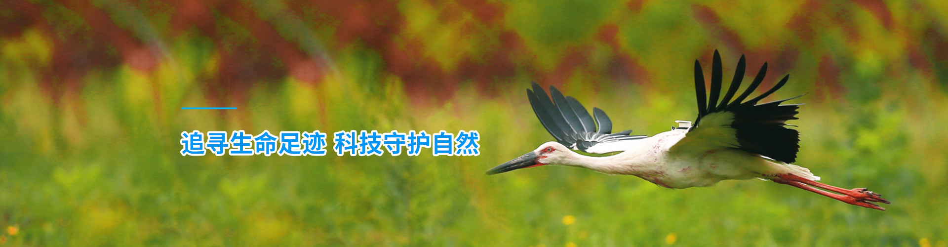 ����ku�ι���_����Ұ������׷��|��������׷����