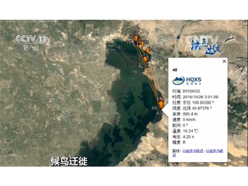 2016ÄêÎÒÃÇÓë´óÌì¶ìһͬǰÐÐ 2016ÄêÎÒÃÇÓë´óÌì¶ìһͬǰÐÐ